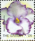 FLORES