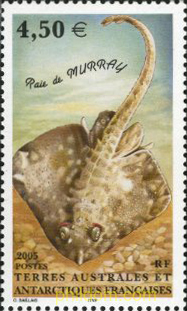 FAUNA ANTARTICA