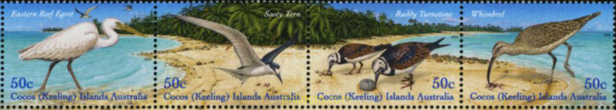 FAUNA MARINA