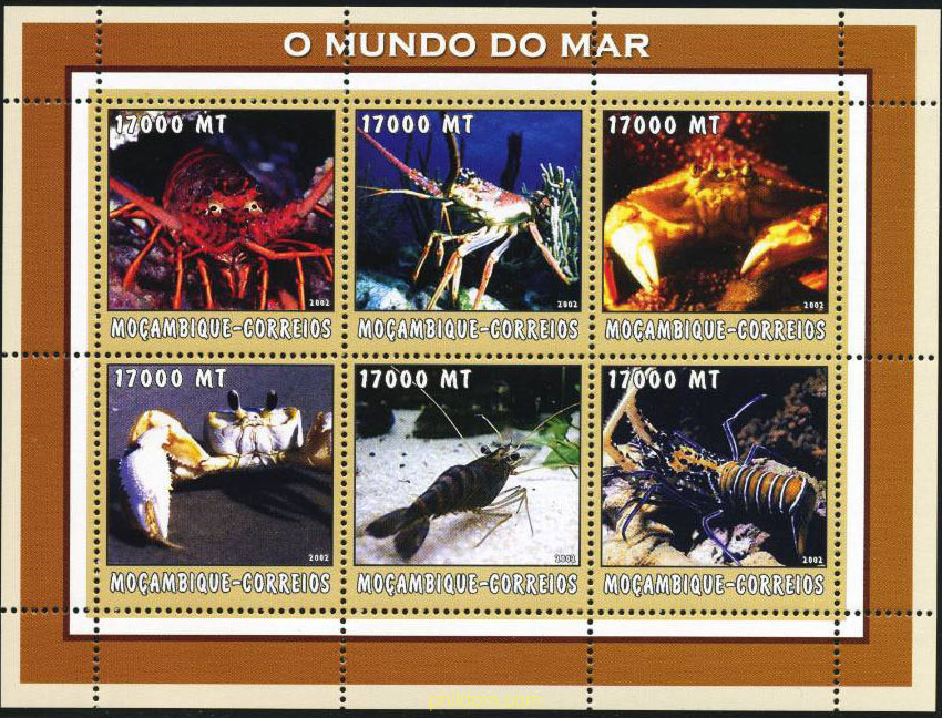 FAUNA MARINA