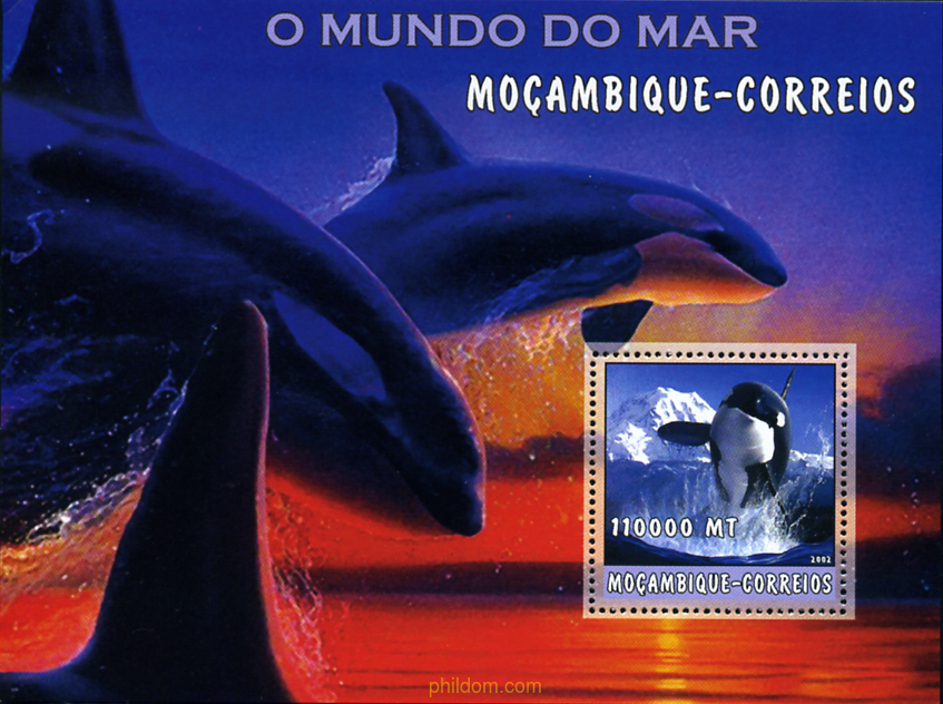 ORCAS