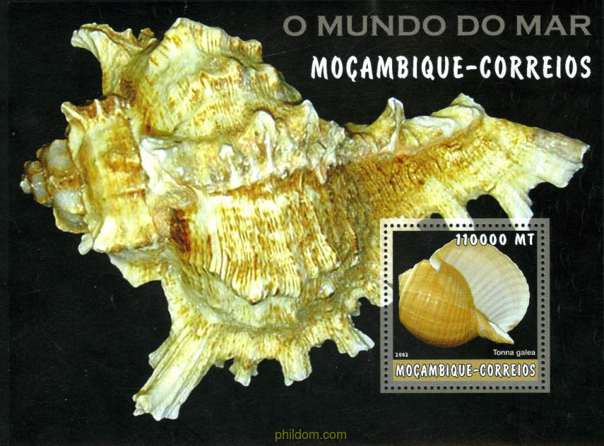 CONCHAS
