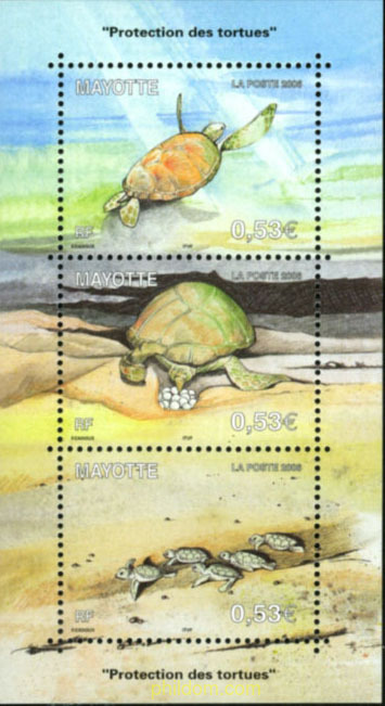 PROTECCION DE LAS TORTUGAS MARINAS