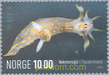 FAUNA MARINA