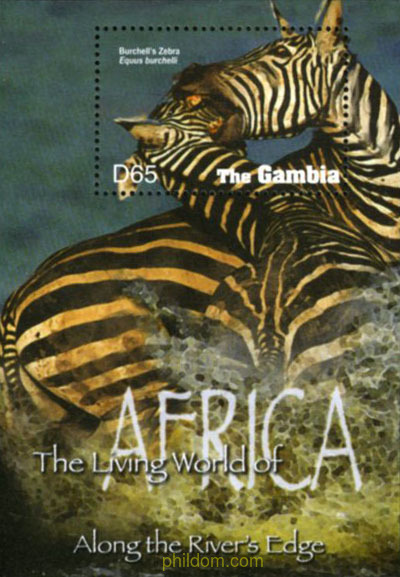 FAUNA SALVAJE DE AFRICA