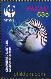 PROTECCION DE LA NATURALEZA. NAUTILUS BELAUENSIS