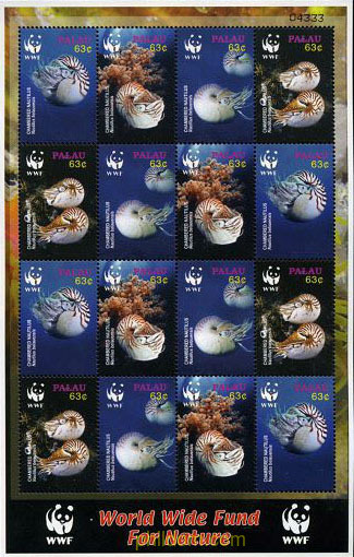 PROTECCION DE LA NATURALEZA. NAUTILUS BELAUENSIS