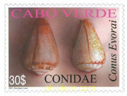 CONCHAS