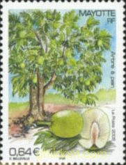 ARBOL