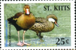 PATOS