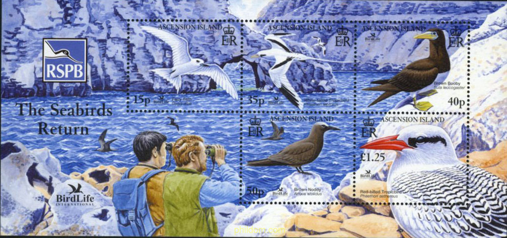 FESTIVAL MUNDIAL DE AVES
