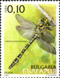 LIBELULAS