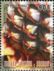 FRUTAS