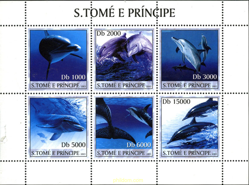 FAUNA MARINA