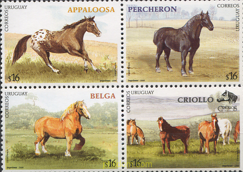 CABALLOS