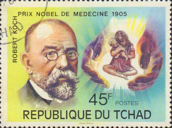 PREMIOS NOBEL