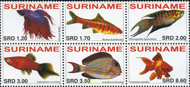 FAUNA MARINA