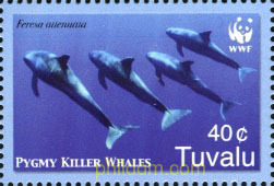 BALLENAS