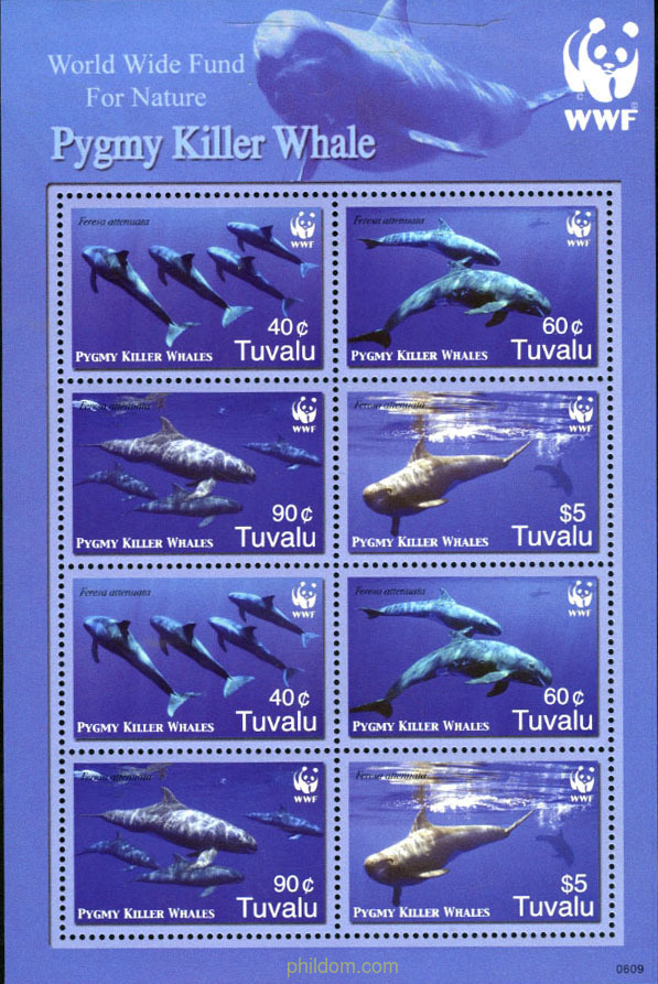BALLENAS