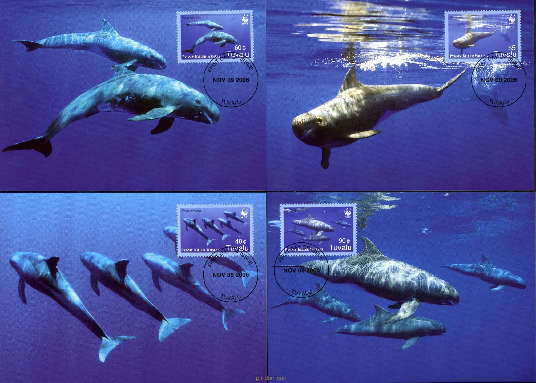 BALLENAS