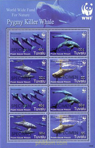 BALLENAS