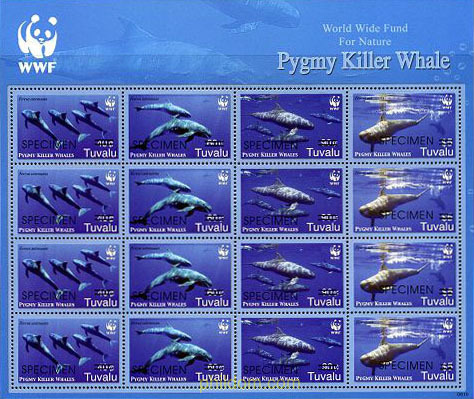 BALLENAS
