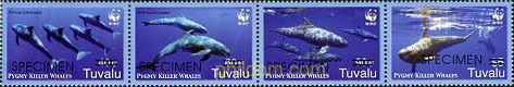 BALLENAS