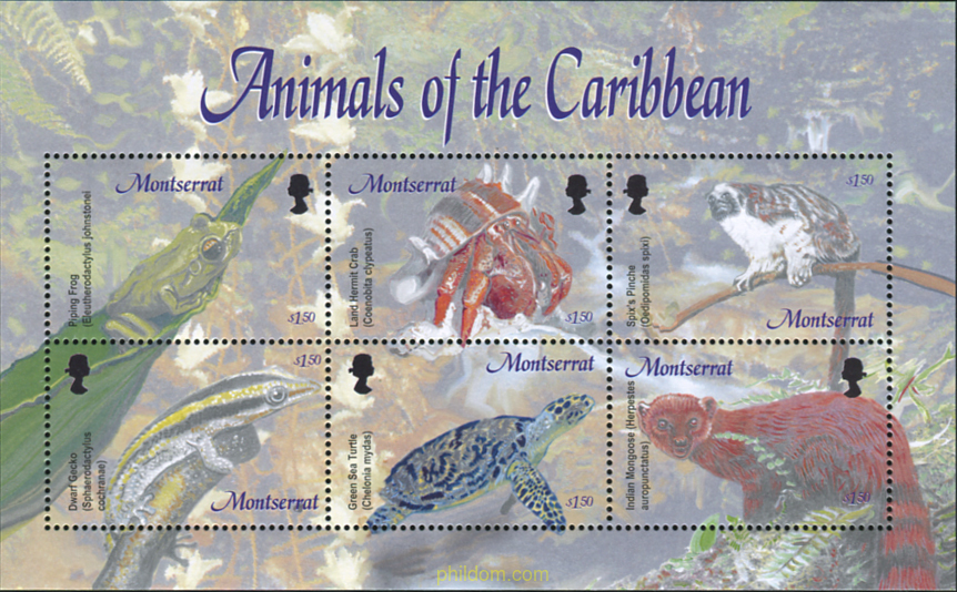 FAUNA DEL CARIBE