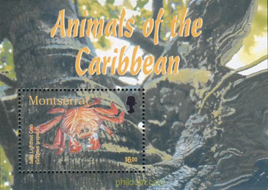 FAUNA DEL CARIBE