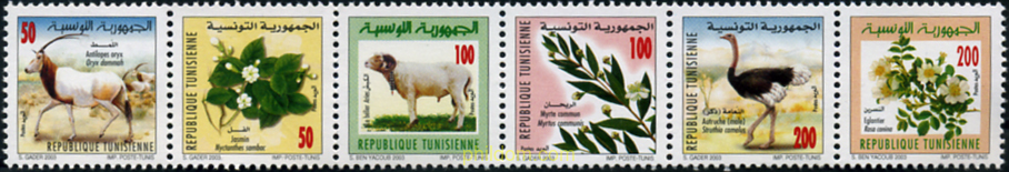 FAUNA Y FLORA