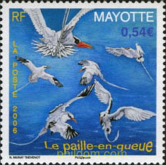 ISLA PAILLE EN QUEUE