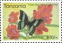 MARIPOSAS