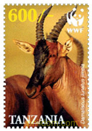 PROTECCION DE LA FAUNA