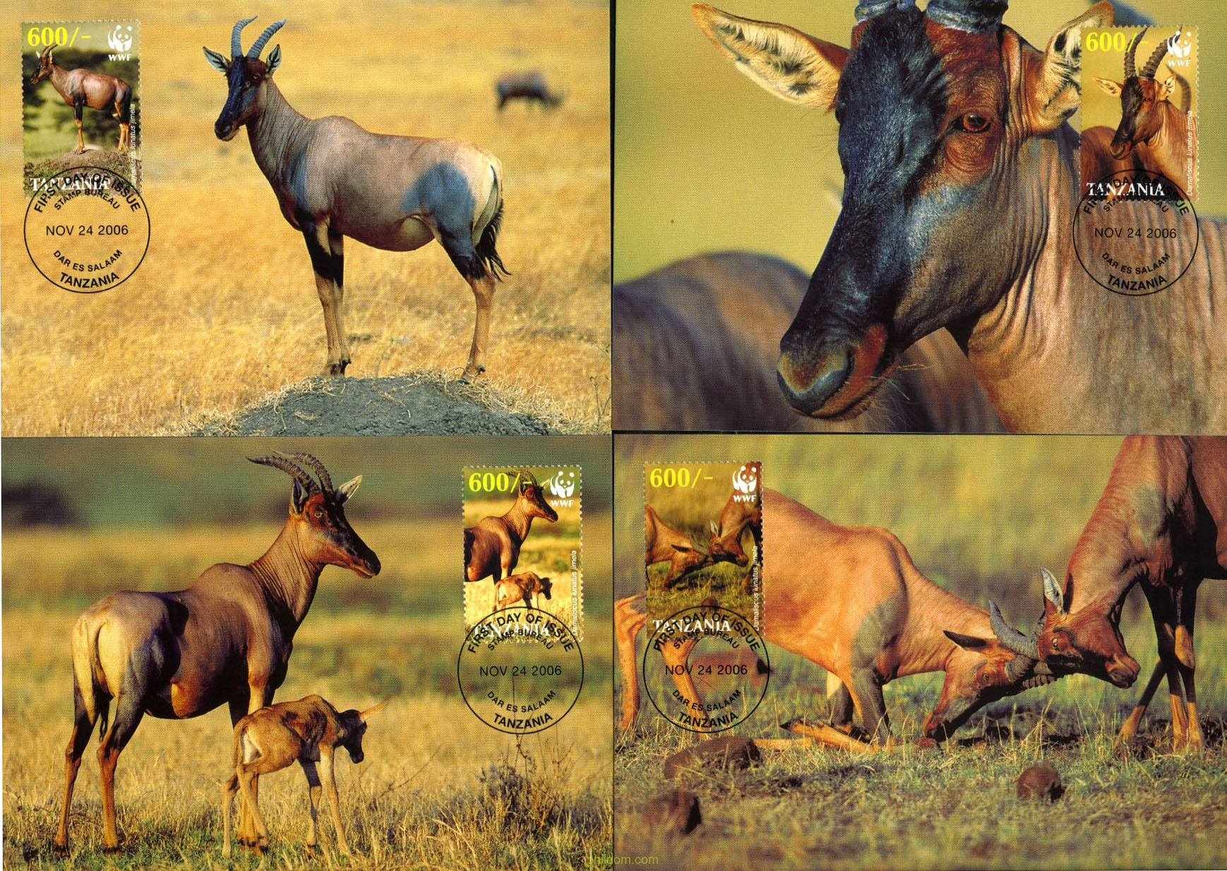PROTECCION DE LA FAUNA