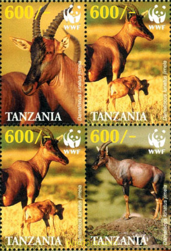 PROTECCION DE LA FAUNA