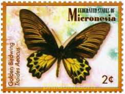 MARIPOSAS
