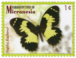 MARIPOSAS