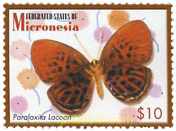 MARIPOSAS