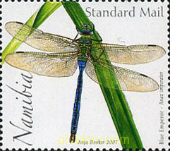 LIBELULAS DE NAMIBIA
