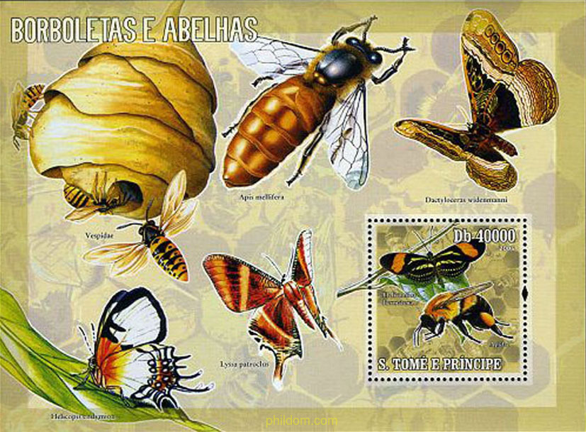 ABEJORROS Y ABEJAS