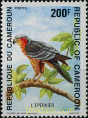 LOS PAJAROS