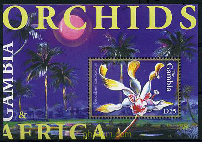 ORQUIDEAS