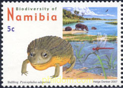 FAUNA Y FLORA - BIODIVERSIDAD EN NAMIBIA