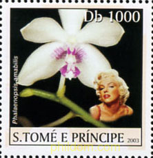 MARILYN MONROE Y ORQUIDEAS