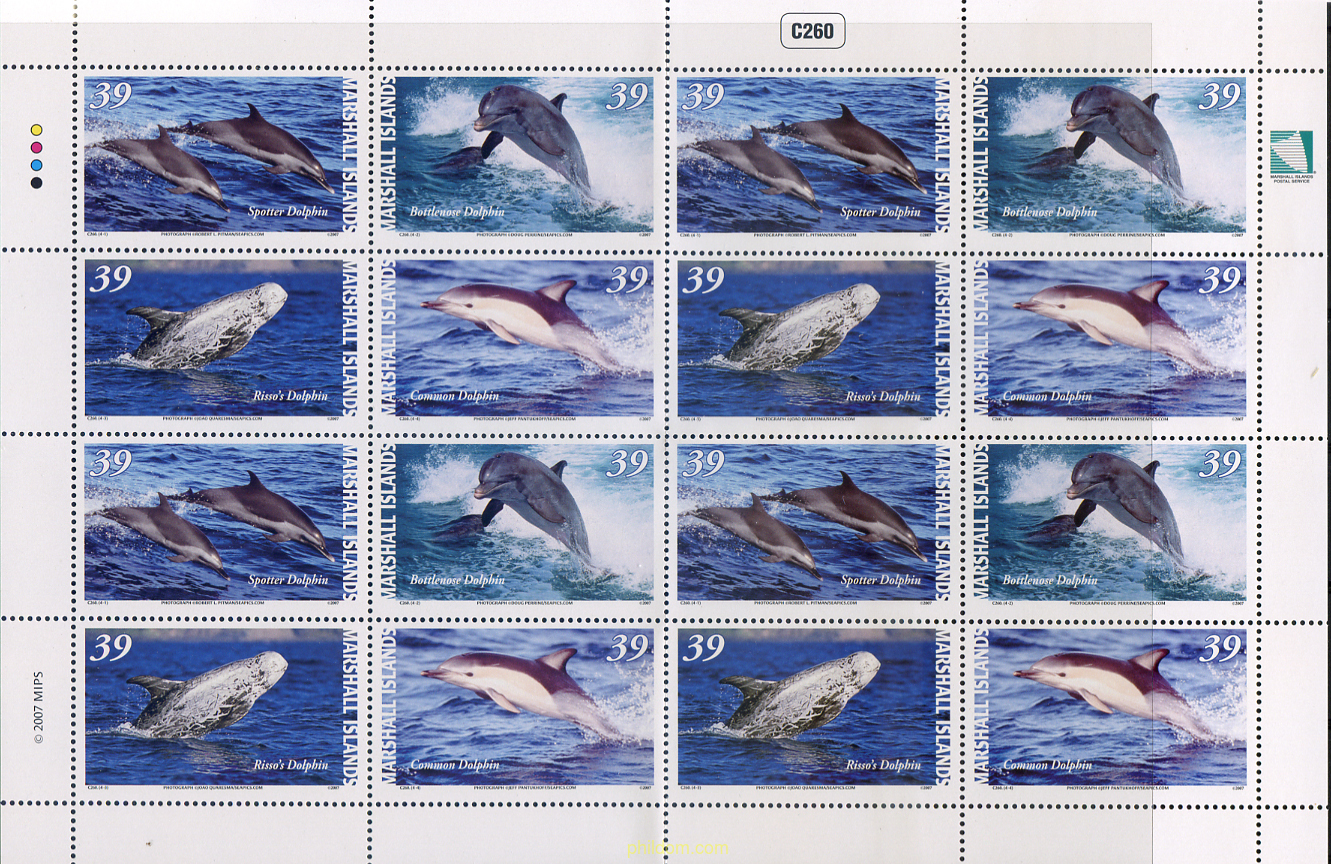 CETACEOS