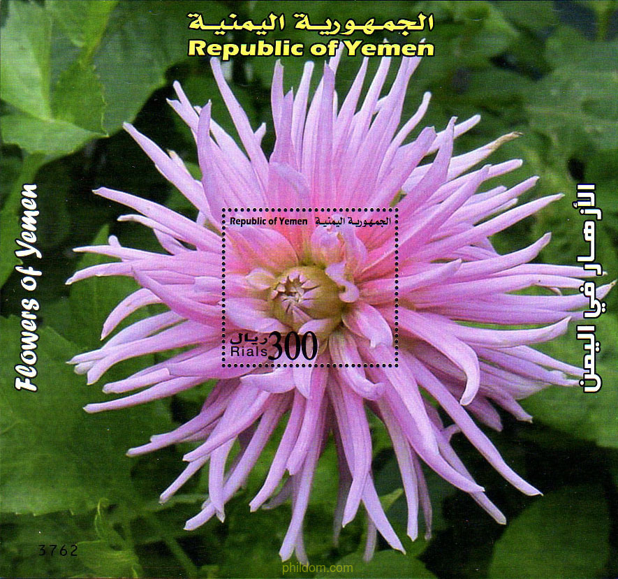 FLORES DEL YEMEN