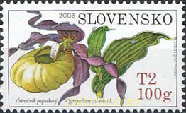 ORQUIDEA