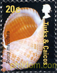 CONCHAS