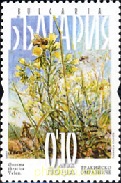 PLANTAS SALVAJES DEL ESTE DE LOS BALCANES