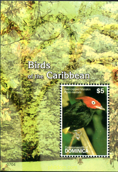 PAJAROS